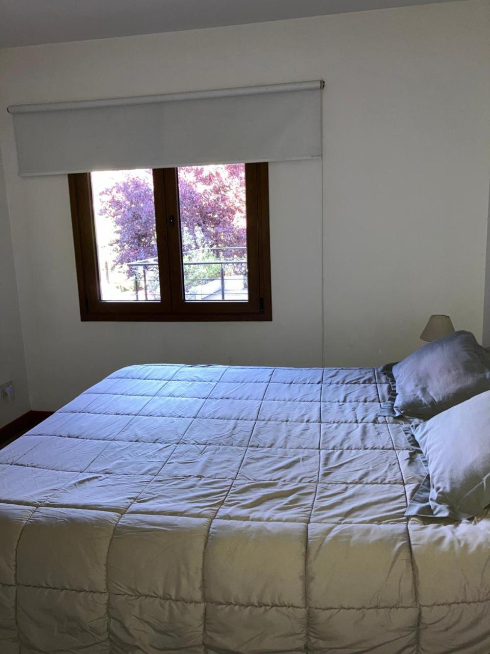 Comodo Departamento Centrico En San Martín de los Andes Kültér fotó